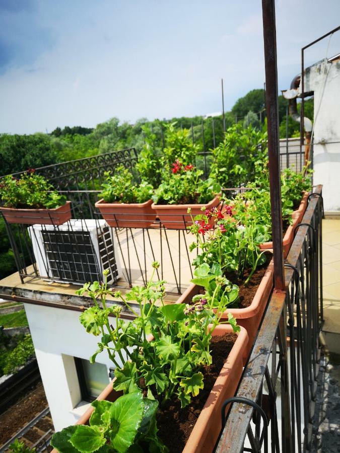 Valentina Chen Guest house